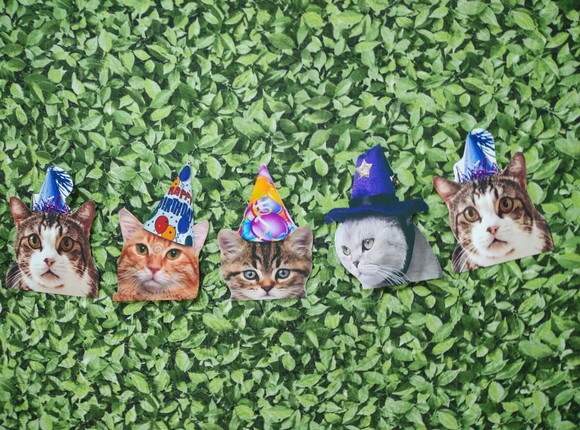 Gatos Varal com 12 Rostinhos de Gatinhos Decorados