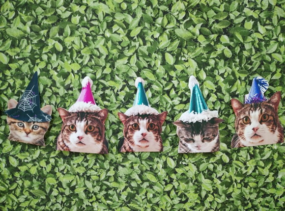 Gatos Varal com 12 Rostinhos de Gatinhos Decorados