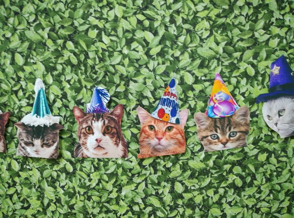 Gatos Varal com 12 Rostinhos de Gatinhos Decorados