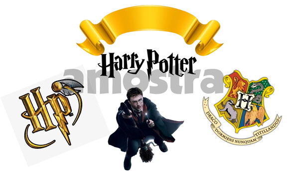 Harry Potter Topo de Bolo