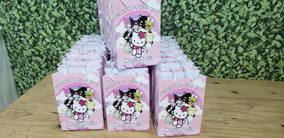 Hello Kitty e Sua Turma Sacola Personalizada Pronta Entrega