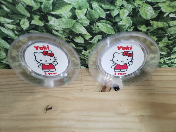 Hello Kitty Prato Personalizado Pronta Entrega