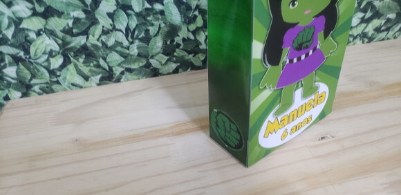 Hulk Menina Sacola Personalizada Pronta Entrega