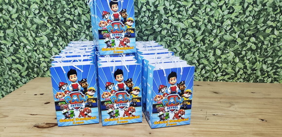 Patrulha Canina Sacola Personalizada Pronta Entrega