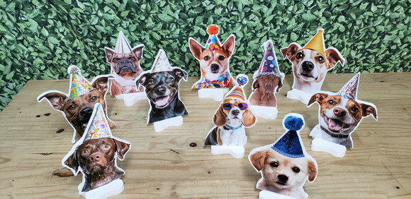 Pet Cachorro Festa Decoração Displays de Mesa 10 Unidades