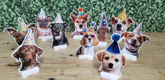 Pet Cachorro Festa Decoração Displays de Mesa 10 Unidades