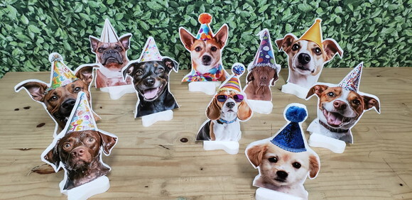Pet Cachorro Festa Decoração Displays de Mesa 10 Unidades