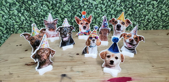 Pet Cachorro Festa Decoração Displays de Mesa 10 Unidades