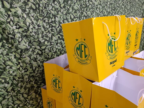 Sacolas Tamanhos Especiais Personalizadas Pronta Entrega
