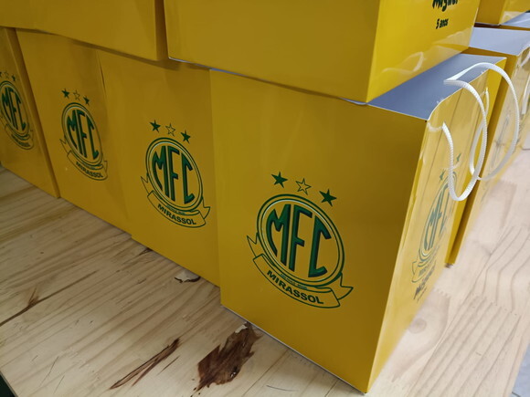 Sacolas Tamanhos Especiais Personalizadas Pronta Entrega