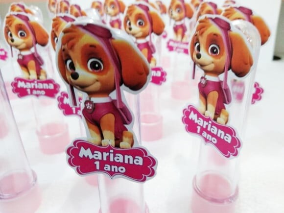 Tubetes Skye Patrulha Canina Pronta Entrega Personalizado