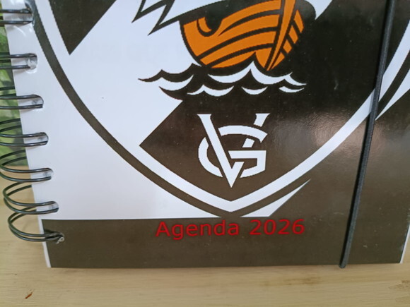 Vasco Lembrancinha Personalizada Tam 15x10 cm Pronta Entrega
