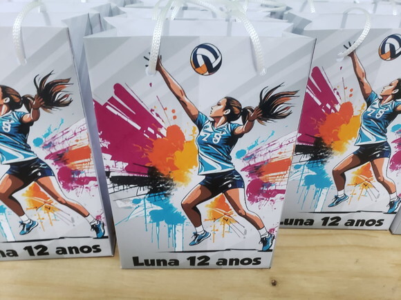 Volley Ball Sacola Personalizada Pronta Entrega