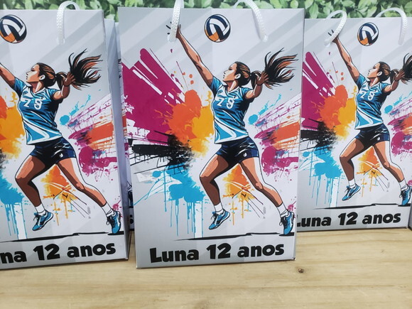 Volley Ball Sacola Personalizada Pronta Entrega