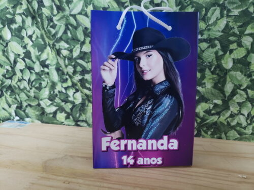 Ana Castela Boiadeira Sacola Personalizada Pronta Entrega