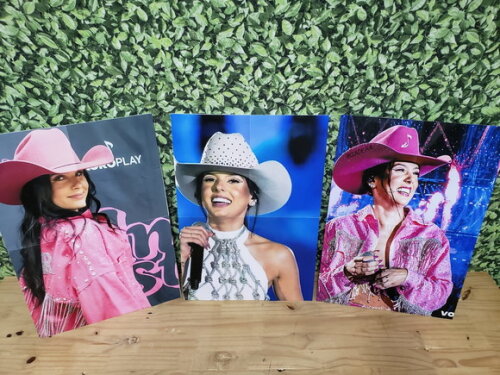 Ana Castela Kit Parede 3 Peças Pronta Entrega