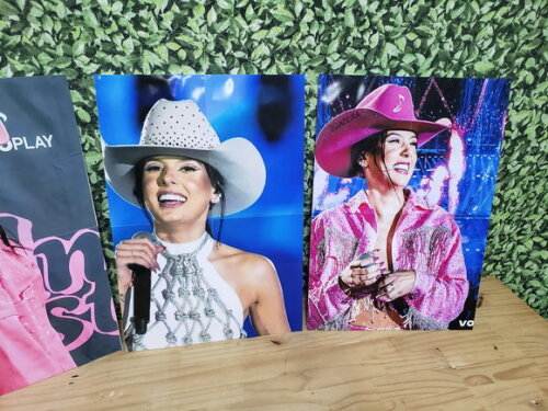 Ana Castela Kit Parede 3 Peças Pronta Entrega