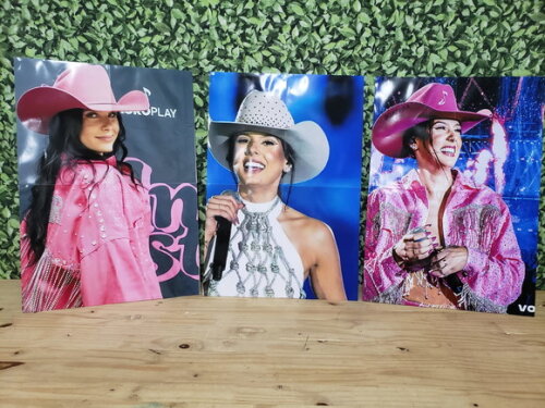 Ana Castela Kit Parede 3 Peças Pronta Entrega