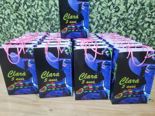 Ana Castela Neon Sacola Personalizada Pronta Entrega