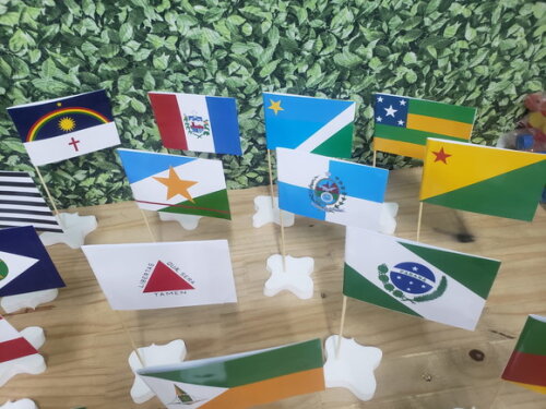 Bandeiras Estados do Brasil de Mesa Pronta Entrega