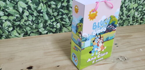Bluey e Bingo Sacola Personalizada Tam. Médio Pronta Entrega