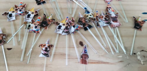 Cachorro Pet 52 un Topper para Docinhos Pronta Entrega