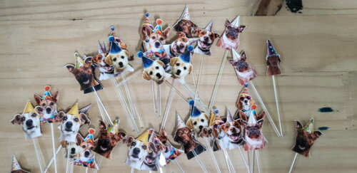 Cachorro Pet 52 un Topper para Docinhos Pronta Entrega