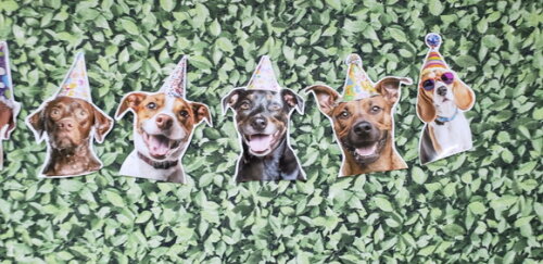 Cachorro Pet Varal Decoração Festa Pronta Entrega