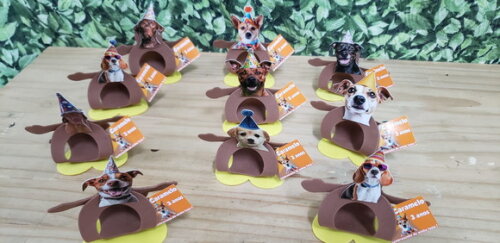 Cachorro Pet Lembrancinha Personalizada Pronta Entrega