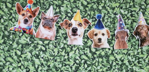 Cachorro Pet Varal Decoração Festa Pronta Entrega