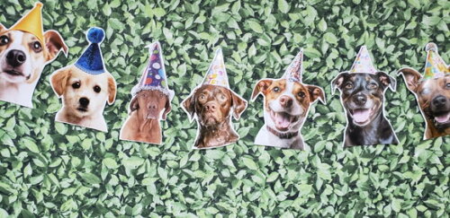 Cachorro Pet Varal Decoração Festa Pronta Entrega