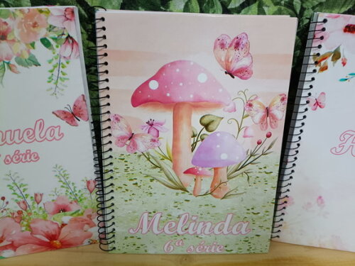 Caderno Meninas 3 Unid. Universitário 96 Fls Personalizado