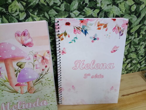 Caderno Meninas 3 Unid. Universitário 96 Fls Personalizado