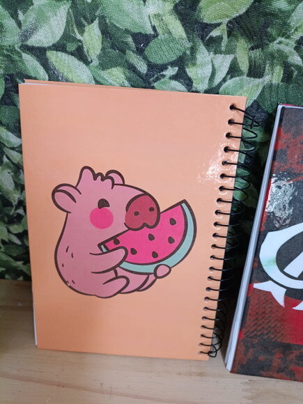 Cadernos Pequenos 3 Unid. 96 Pgs. Tam20x14 cm Personalizados
