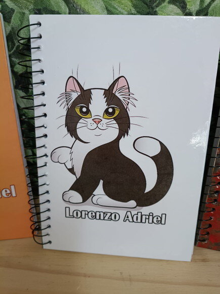 Cadernos Pequenos 3 Unid. 96 Pgs. Tam20x14 cm Personalizados