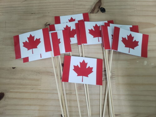 Canadá Bandeirinha de Mão 12 Unidades