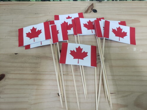 Canadá Bandeirinha de Mão 12 Unidades