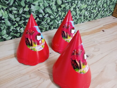 Chapeuzinho Vermelho Chapéu Personalizado Pronta Entrega
