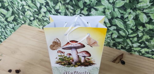 Cogumelos e Borboletas Sacola Personalizada Pronta Entrega