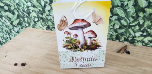 Cogumelos e Borboletas Sacola Personalizada Pronta Entrega