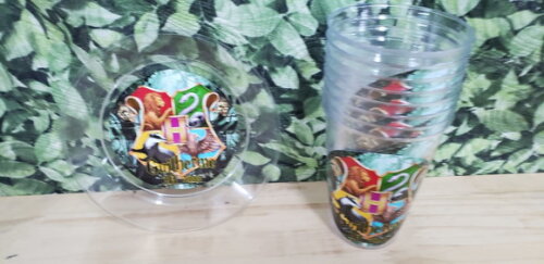 Descartáveis Harry Porter Copo 300 ml e Prato Sobremesa