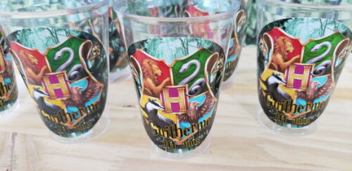 Descartáveis Harry Porter Copo 300 ml e Prato Sobremesa