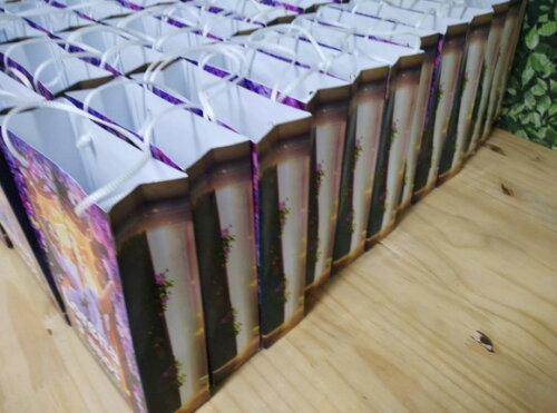 Encanto Sacola Personalizada Pronta Entrega