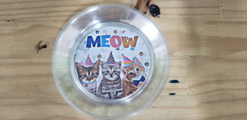 Gato Meow Prato Sobremesa 15 cm Pronta Entrega