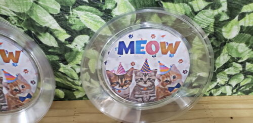 Gato Meow Parato Refeição 21 cm Personalizado Pronta Entrega