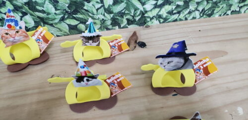 Gato Pet Lembrancinha Festa Personalizada Pronta Entrega