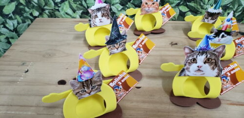 Gato Pet Lembrancinha Festa Personalizada Pronta Entrega