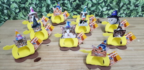 Gato Pet Lembrancinha Festa Personalizada Pronta Entrega