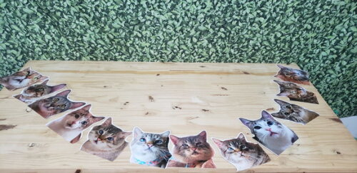 Gatos Pet Varal Tipo Faixa com 12 Fotos - Pronta Entrega