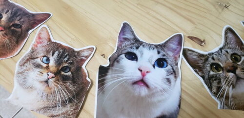 Gatos Pet Varal Tipo Faixa com 12 Fotos - Pronta Entrega